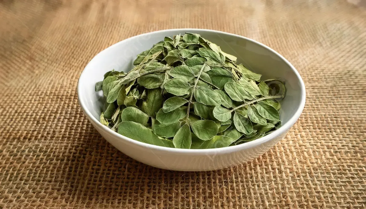 Daun Kelor Kering