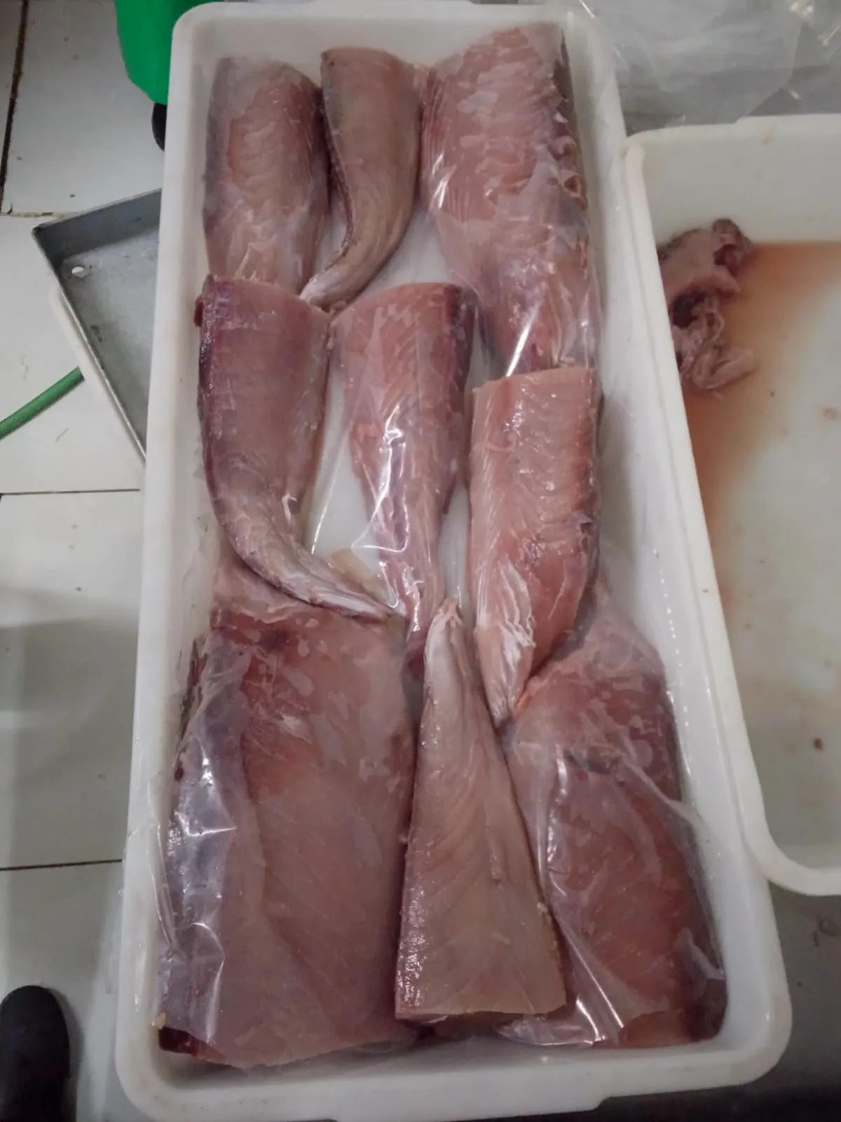 Tuna Fillet